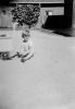 Ch6-raw0034.jpg