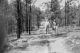 Ch6-raw0049.jpg